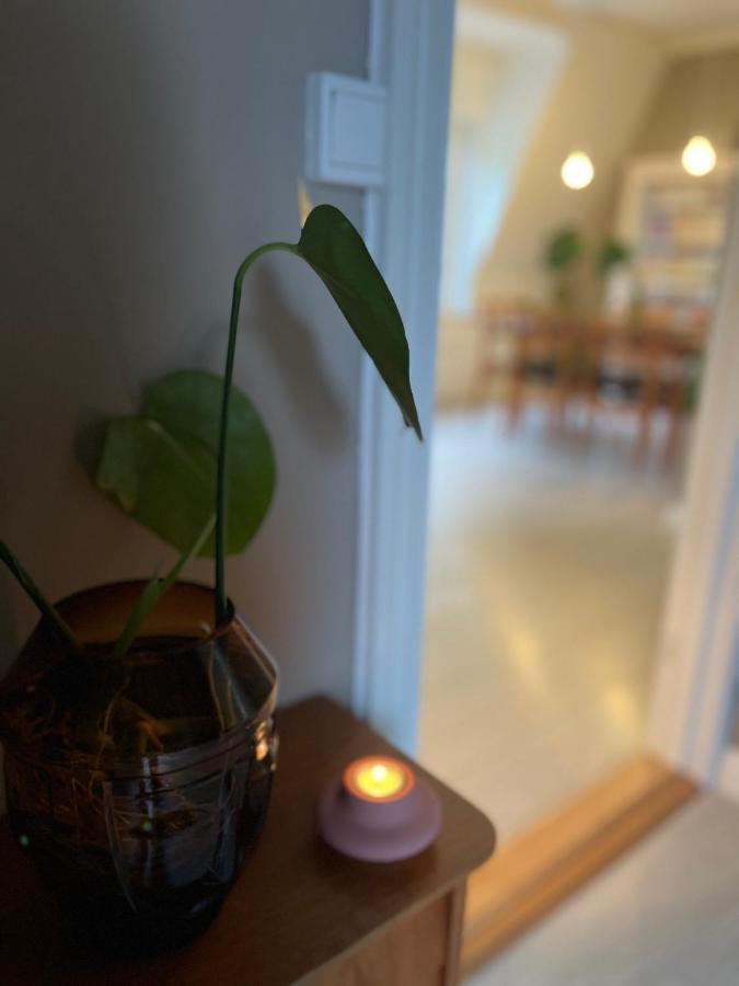 Charming Apartment In Alesund Center With Free Parking Exterior foto